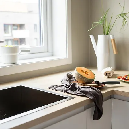 Bjorvika Apartments, Opera Area, Center